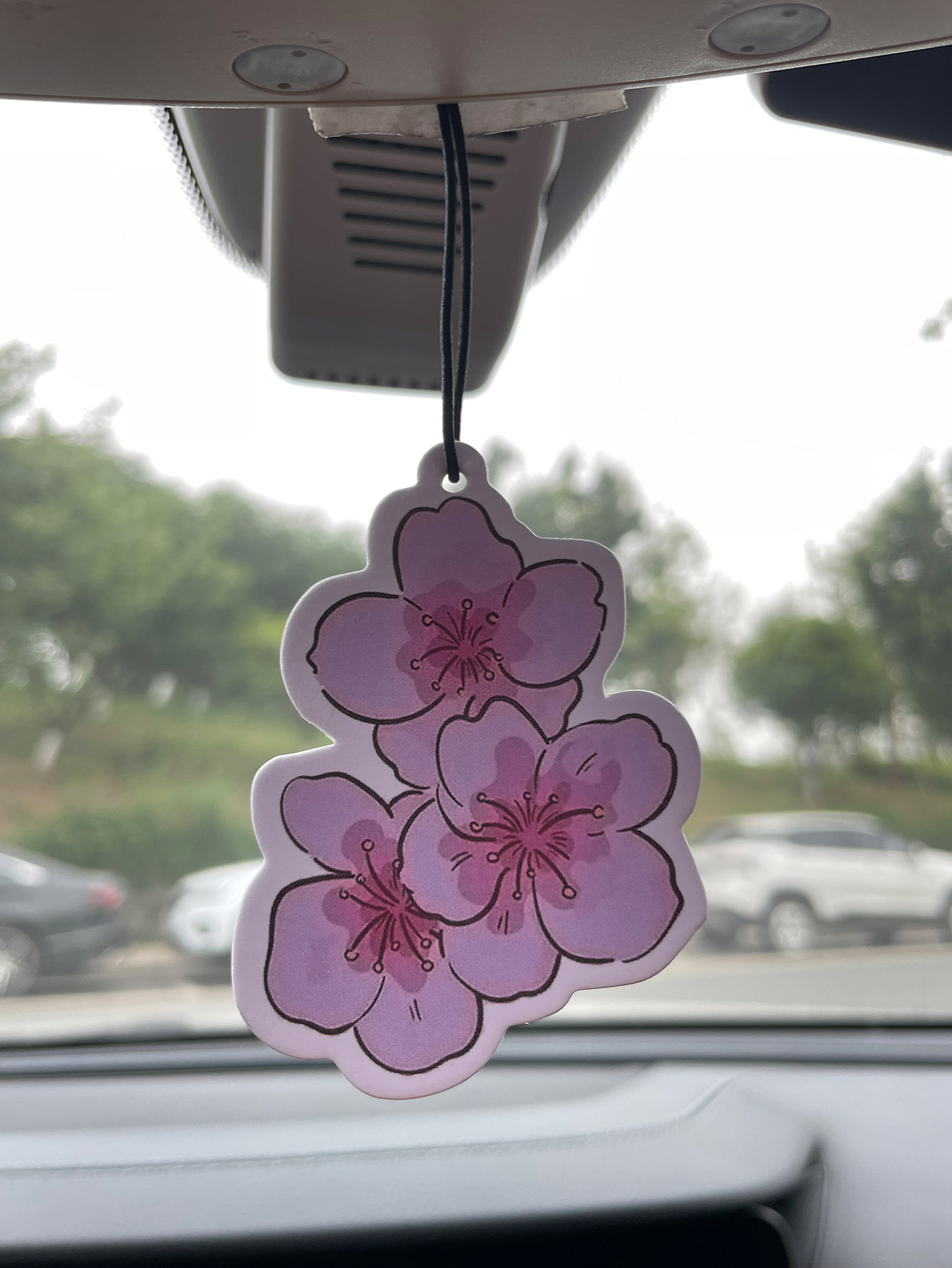 Profumo per Auto Neutro a Cinq - Home Fragrance Non Toxic recensione e prezzo