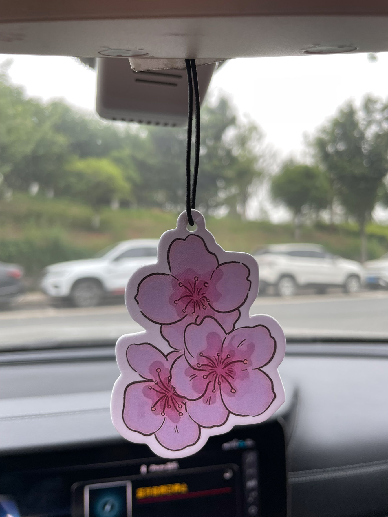 Profumo per Auto Neutro a Cinq - Home Fragrance Non Toxic recensione e prezzo